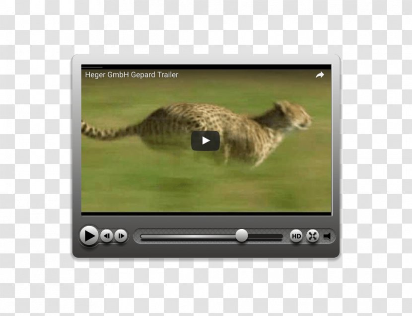 Video Cat Technology Multimedia Transparent PNG