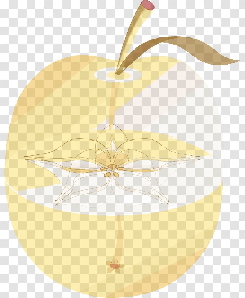 Product Design Fruit - Food - Anatomy Transparent PNG