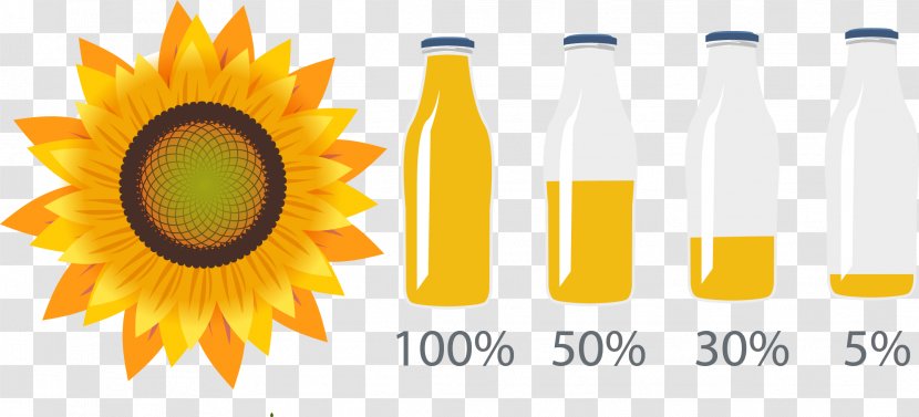 Common Sunflower Oil Seed - Product Design - Vector Hand Painted Transparent PNG