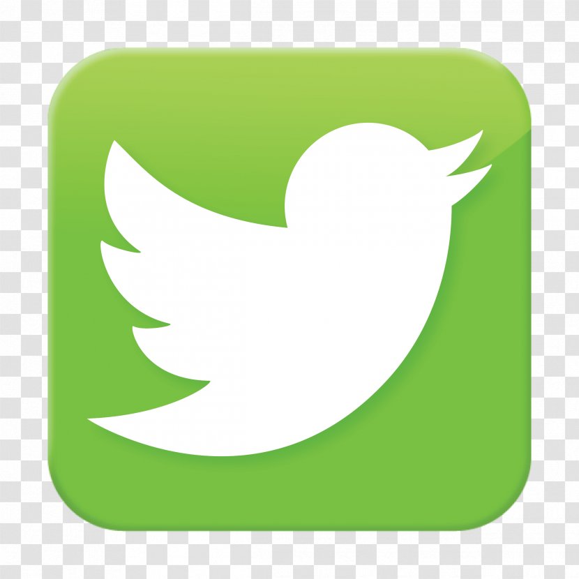 Social Media Blog YouTube Like Button - Leaf - Twitter Transparent PNG