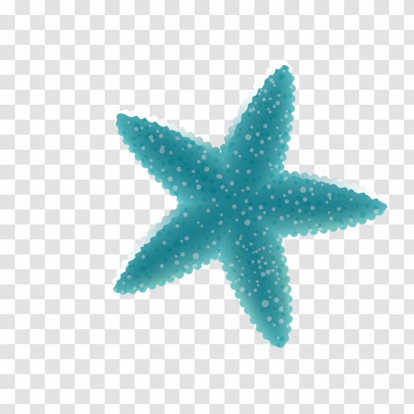 Deep Sea Creature Cartoon Ocean - Starfish - Vector Blue Decoration Transparent PNG