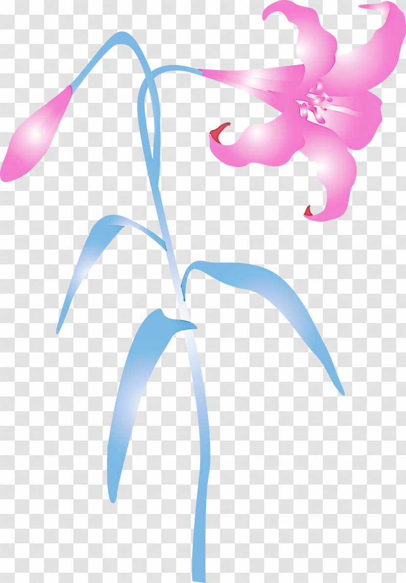 Easter Flower Spring Flower Transparent PNG