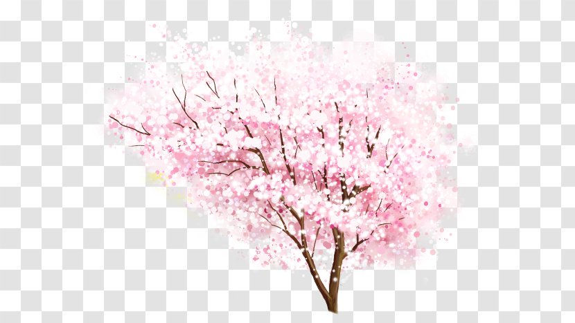 National Cherry Blossom Festival - Branch - Hand Painted Watercolor Pink Peach Tree Transparent PNG