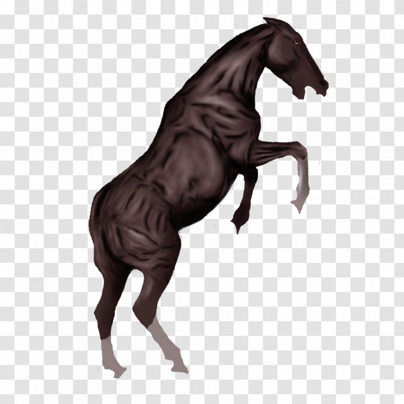 Mane Mustang Stallion Foal Mare - Horse Transparent PNG