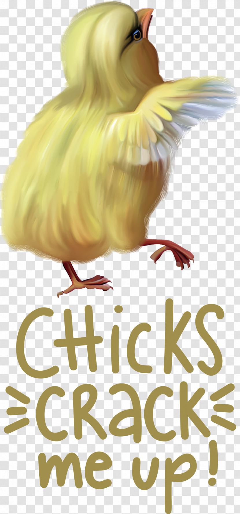 Chicks Crack Me Up Easter Day Happy Easter Transparent PNG