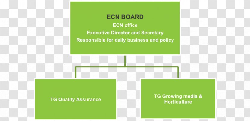 Brand Logo Green - Diagram - Quality Assurance Transparent PNG