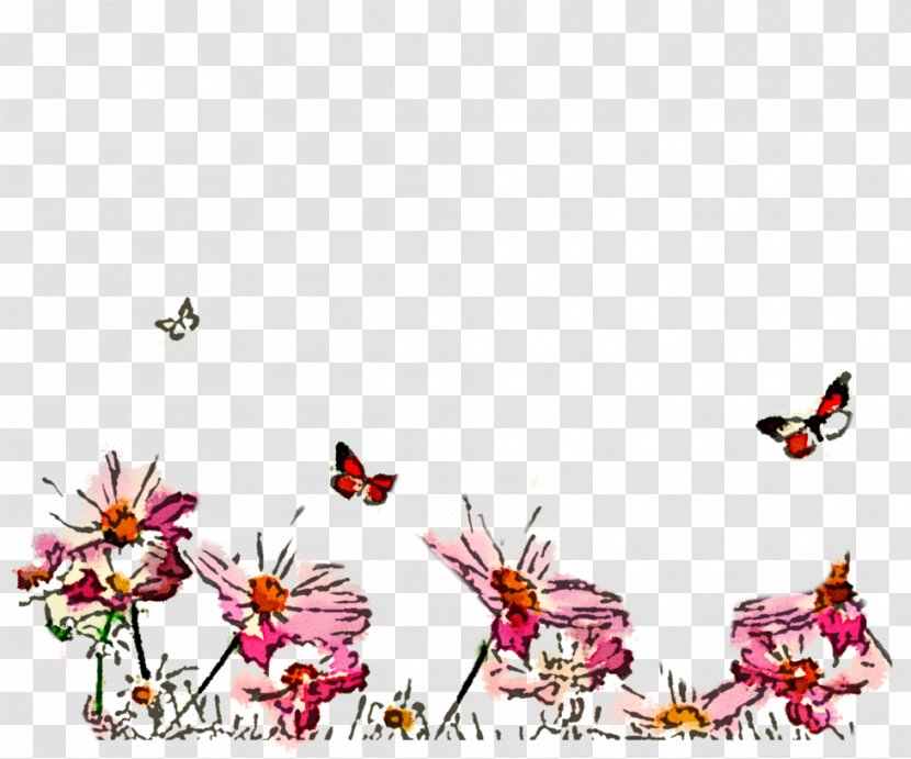 Desktop Wallpaper Flower Cosmos 4K Resolution - Beak - Watercolor Butterfly Transparent PNG