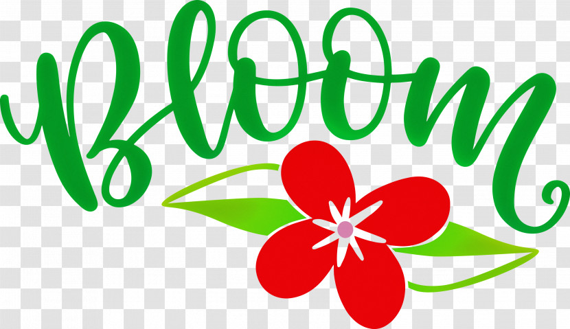 Bloom Spring Flower Transparent PNG