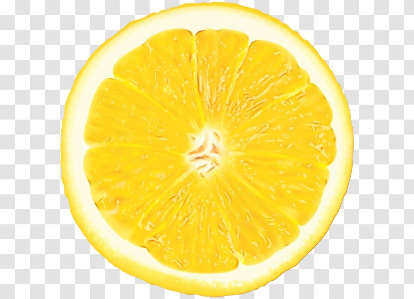 Lemon Slice - Bitter Orange - Tangerine Vegetarian Food Transparent PNG