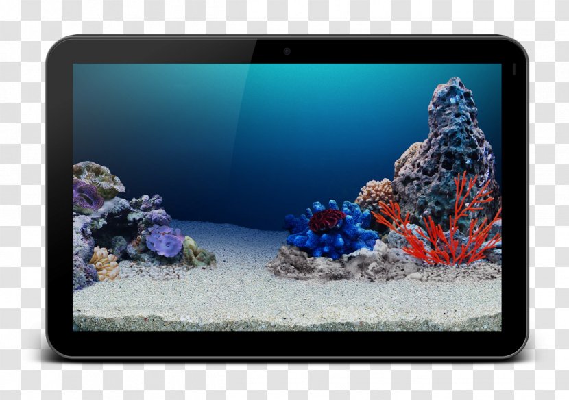 Coral Reef Aquariums Cobalt Blue - Multimedia - Undersea Transparent PNG