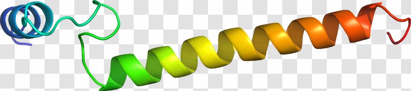 Clip Art Logo Product Design Line - Text - Nwo Transparent PNG