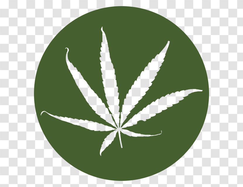Cannabis Green Hemp Leaf Transparent PNG