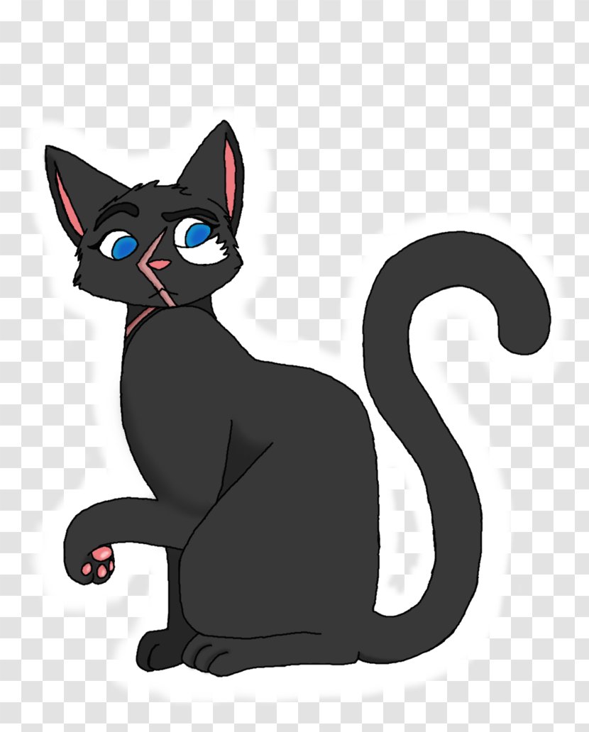 Korat Black Cat Kitten Whiskers Domestic Short-haired Transparent PNG