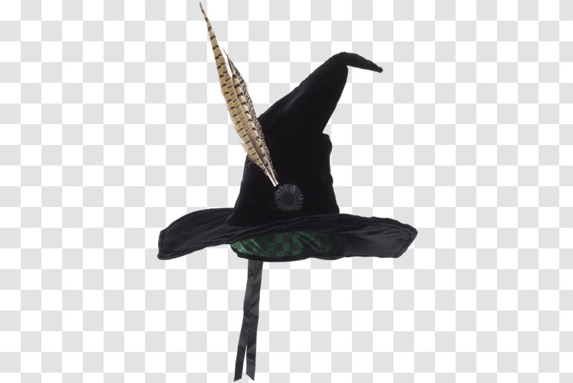 Professor Minerva McGonagall Witch Hat Rubeus Hagrid Harry Potter - Feather Transparent PNG