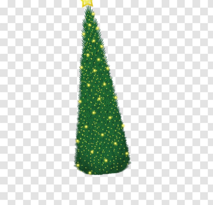Fir Christmas Tree - Conifer Transparent PNG