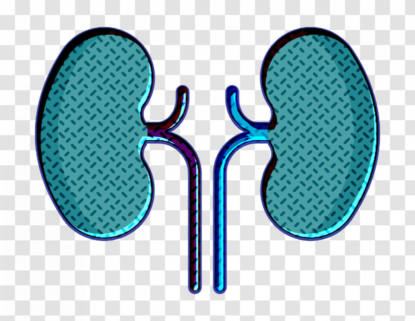Medical Icon Kidney Icon Transparent PNG