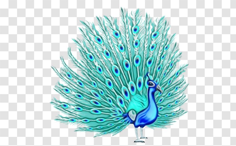 Cartoon Bird - Turquoise - Wing Electric Blue Transparent PNG