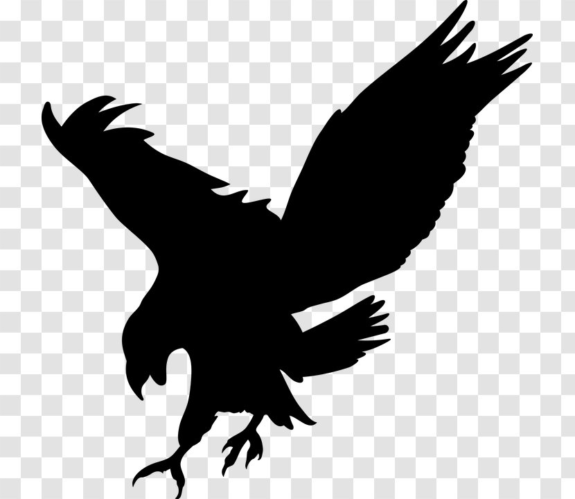 Bird Silhouette - Tail Raven Transparent PNG