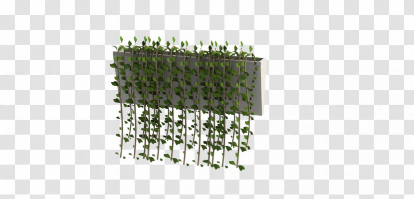 Plant Vine Computer-aided Design .dwg - 3d Computer Graphics - Garden Wall Transparent PNG