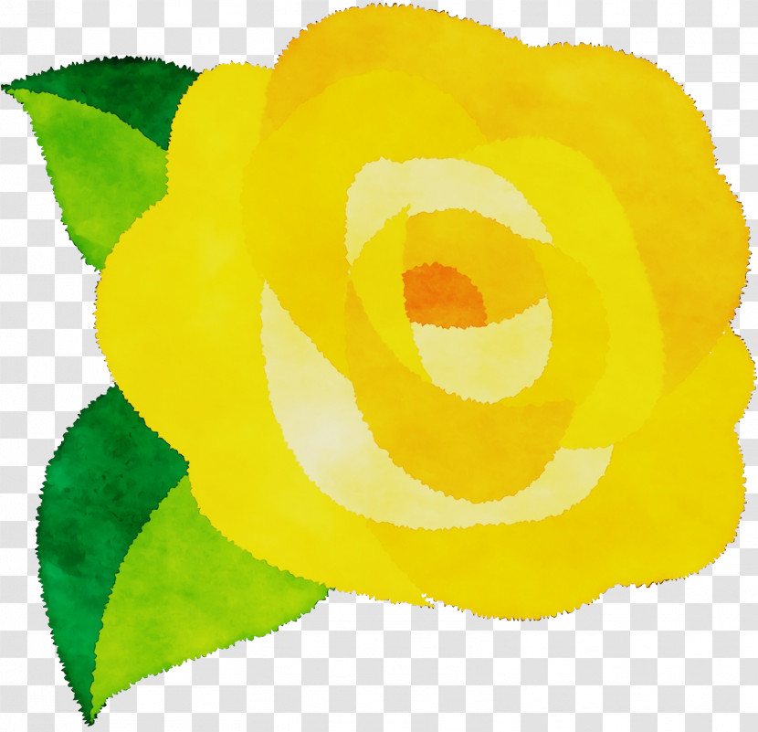 Garden Roses Transparent PNG