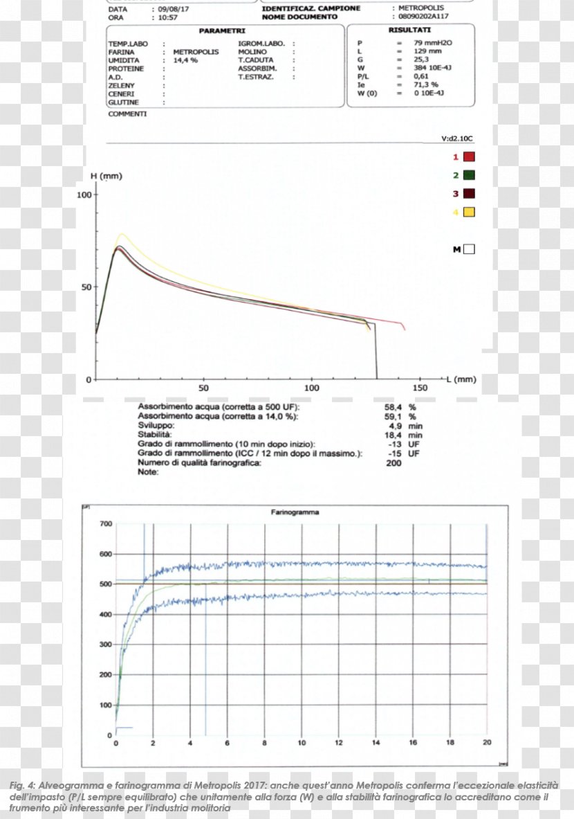 Document Drawing Line Angle - Diagram Transparent PNG