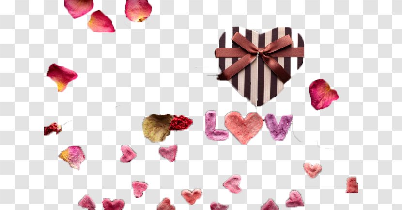 Heart Shape - Love - Valentines Day Transparent PNG