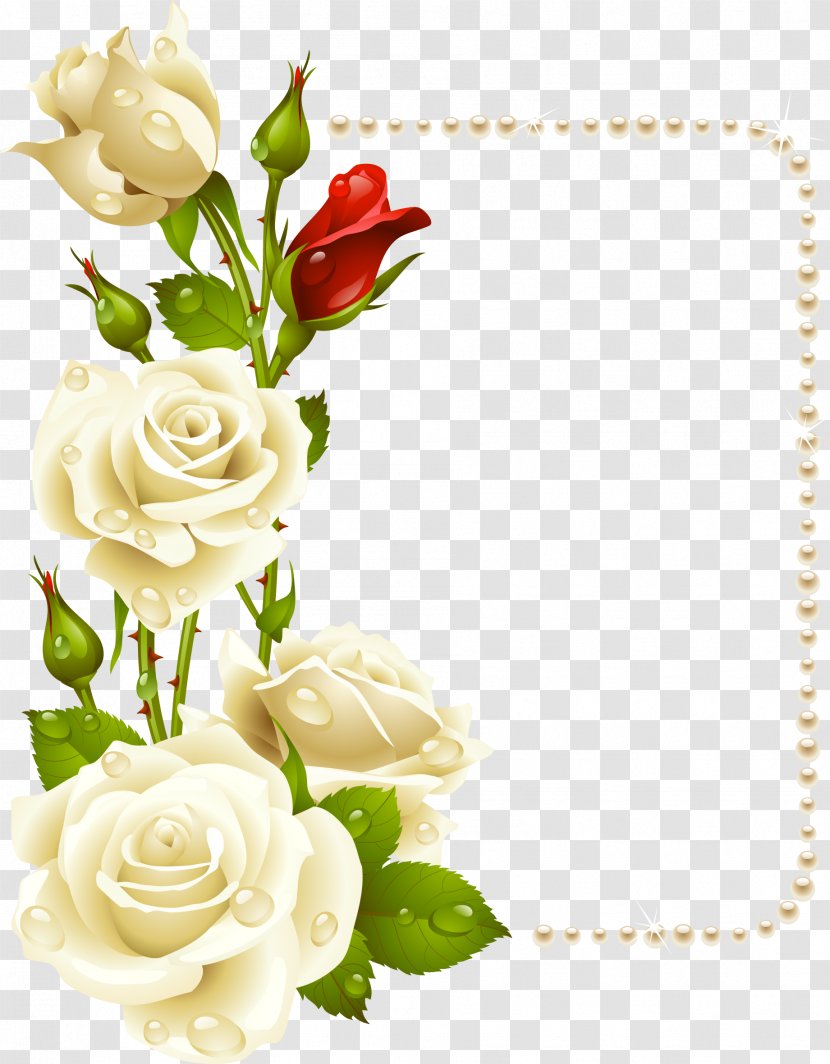 Rose Picture Frame White Clip Art - Petal - Roses With Pearls Card Transparent PNG