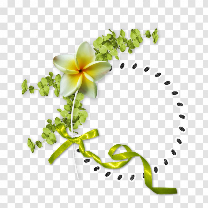 Floral Design Flower - Petal - Vector Border Creative Material Transparent PNG