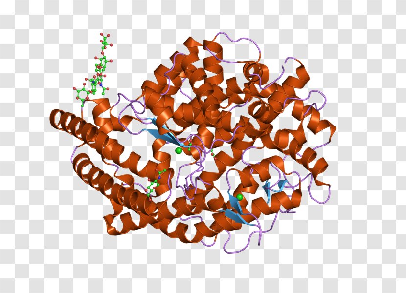 Angiotensin-converting Enzyme Angiotensin II Gene Therapy - Heart Failure Transparent PNG