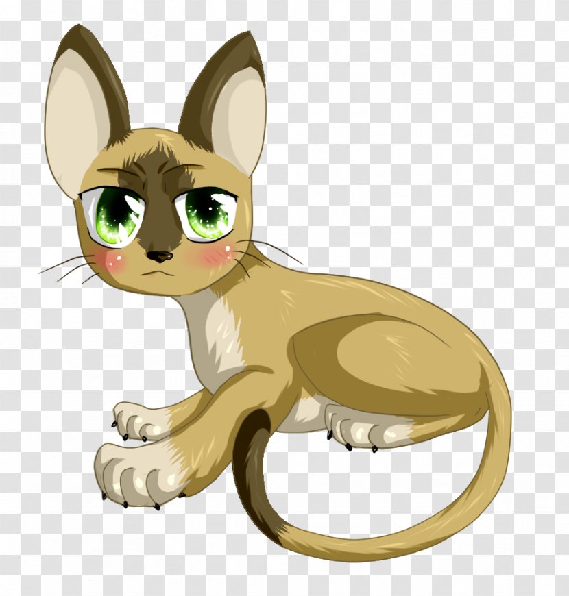 Whiskers Kitten Dog Paw Canidae Transparent PNG