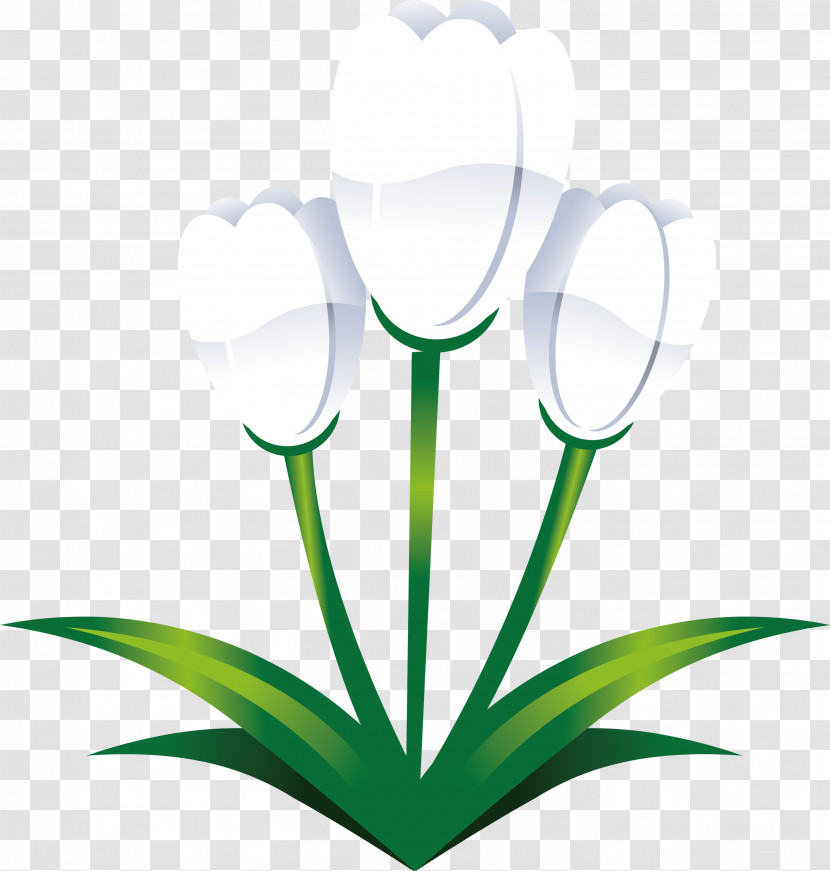 Easter Flower Spring Flower Transparent PNG