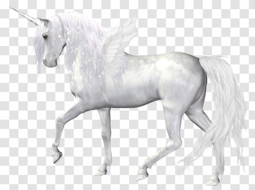 The Black Unicorn Horse Clip Art - Fundal - Fantasy Angel Clipart Picture Transparent PNG