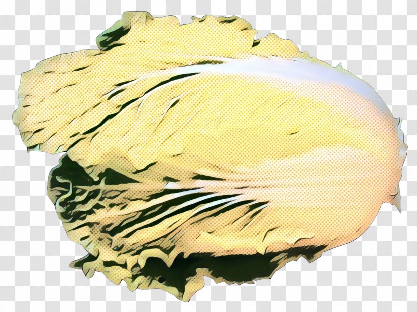 Yellow - Plant - Cabbage Transparent PNG