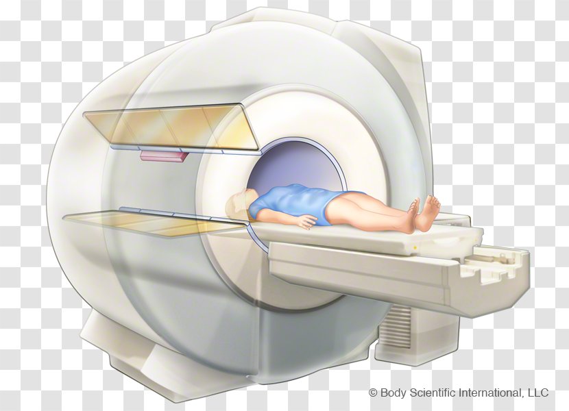 Computed Tomography Knee Anatomy - Tree - Flower Transparent PNG