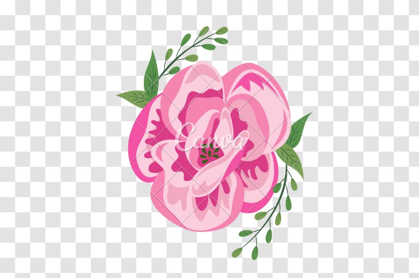 Centifolia Roses Cut Flowers Garden Floral Design - Rosa - Flower Vector Transparent PNG