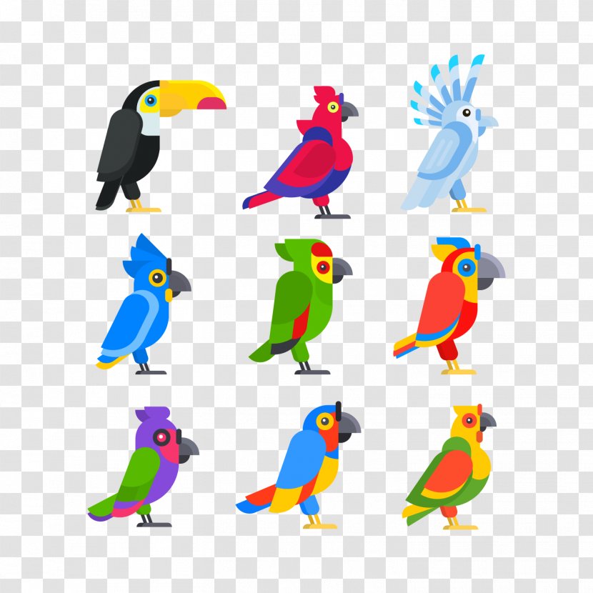 Bird Vector Graphics Clip Art Cockatoo Illustration - Parrot - Cartoon Transparent PNG