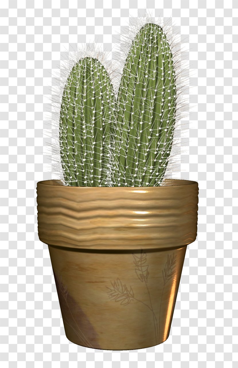 Cactaceae Flowerpot - Cactus Transparent PNG