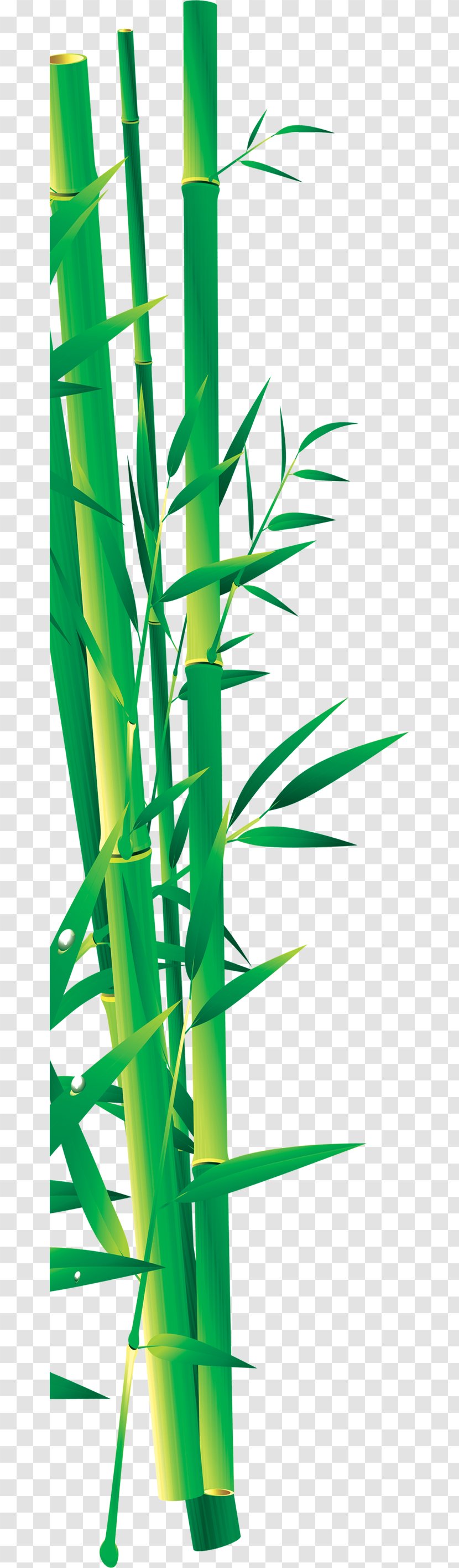 Bamboo Bamboe Icon Transparent PNG