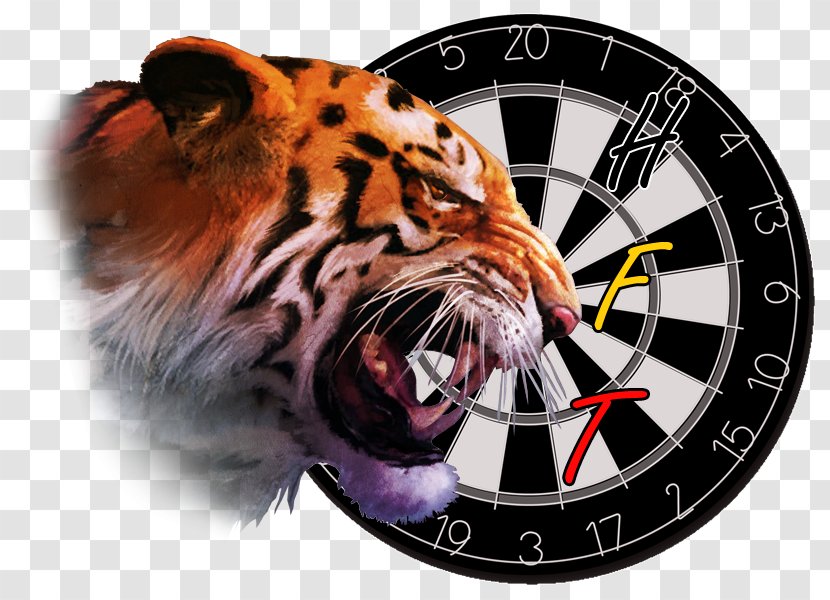 PDC World Darts Championship Federation Shot Bullseye - Game - Watercolor Tiger Transparent PNG