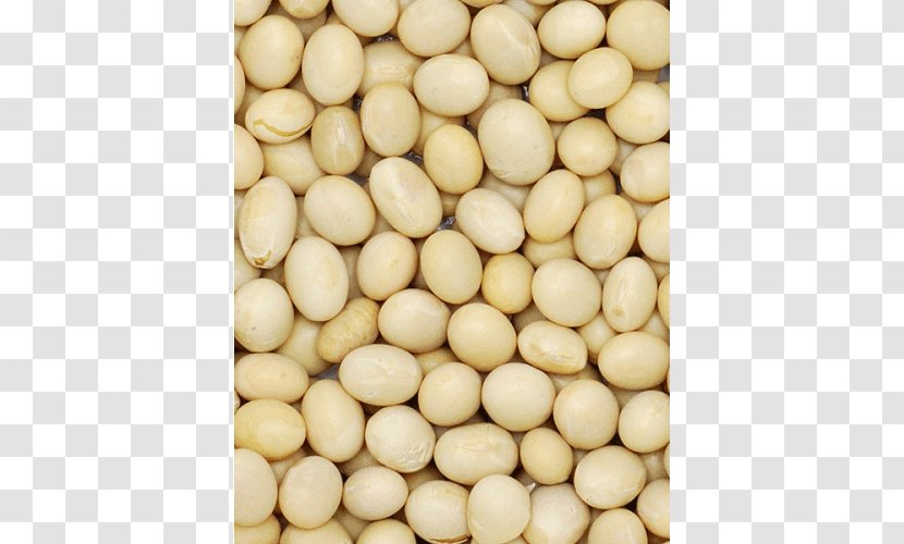 Soybean Glycine Soja Commodity Wholesale - International Nomenclature Of Cosmetic Ingredients - Soya Bean Transparent PNG