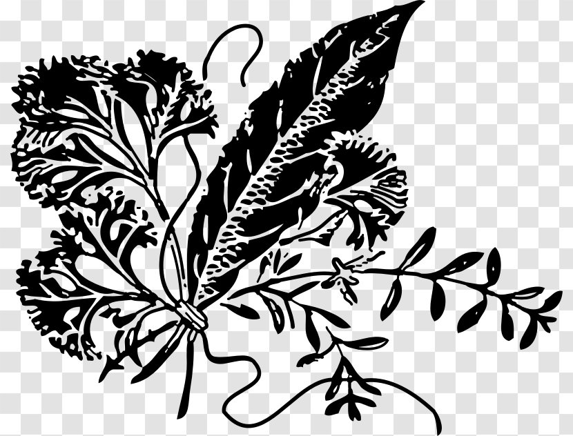 Herbal Tea Parsley Clip Art - Leaf - Herbs Transparent PNG