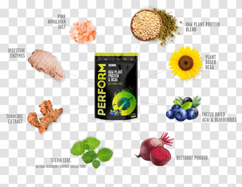 Protein Raw Foodism Ingredient Veganism Pea - Vanilla Transparent PNG