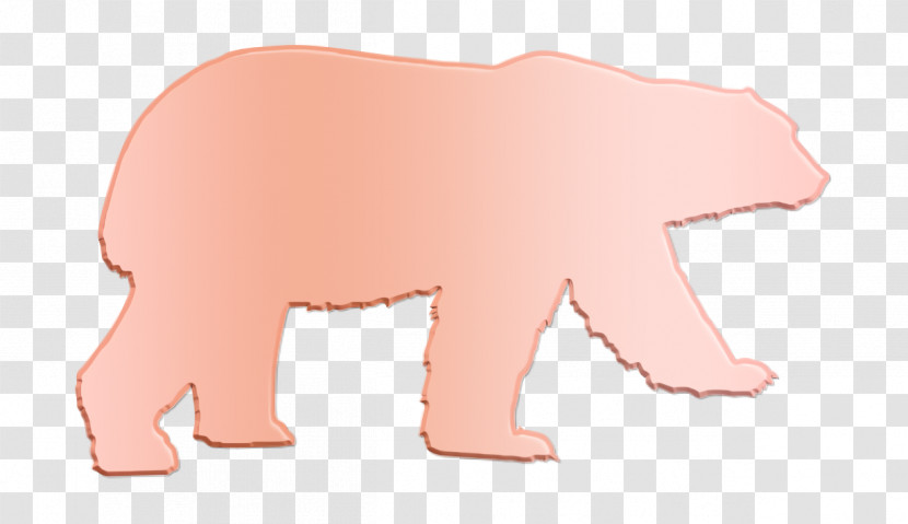 Animal Kingdom Icon Bear Icon Animals Icon Transparent PNG