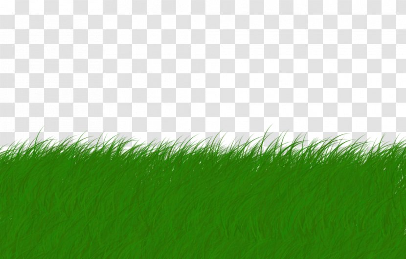 Lawn Animation Drawing - Sky - Cara Delevingne Transparent PNG