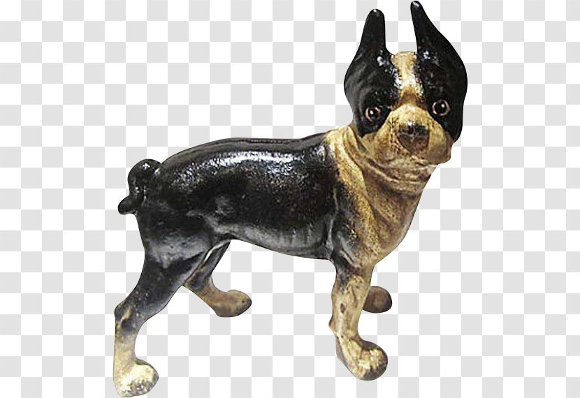 Boston Terrier Dog Breed Companion Non-sporting Group Snout - BOSTON TERRIER Transparent PNG