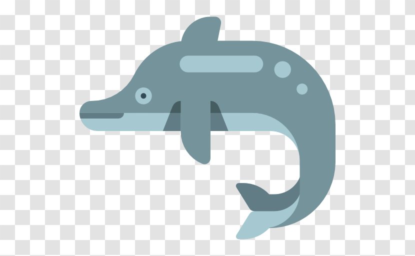 Dolphin - Logo - Vector Transparent PNG