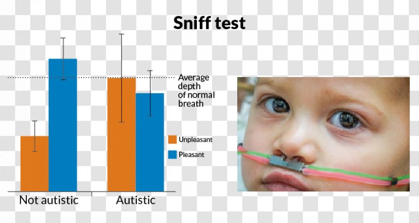 Nose Chin Eyebrow Forehead - Mouth - CHILDREN STUDYING Transparent PNG