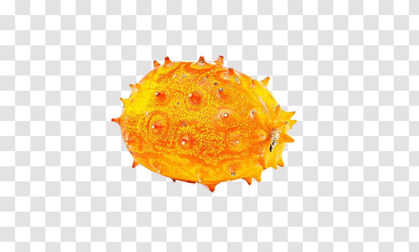 Horned Melon Fruit Cucumber - Horn - Kok Material Transparent PNG