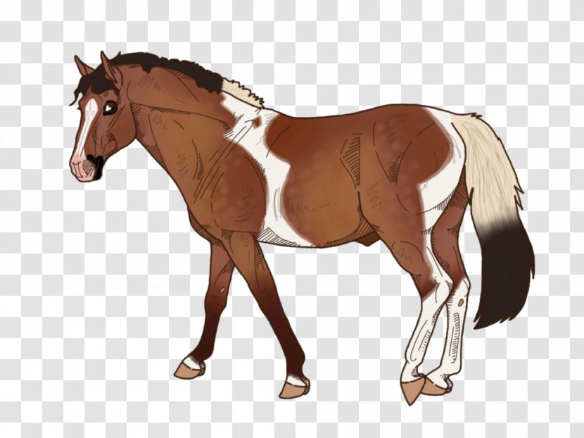 Horse Mane Foal Rein Stallion - Pony - Banjo Transparent PNG