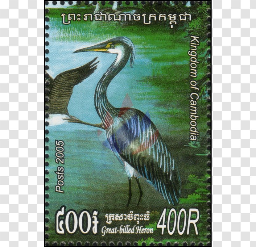 Heron Ecosystem Crane Flora Fauna Transparent PNG